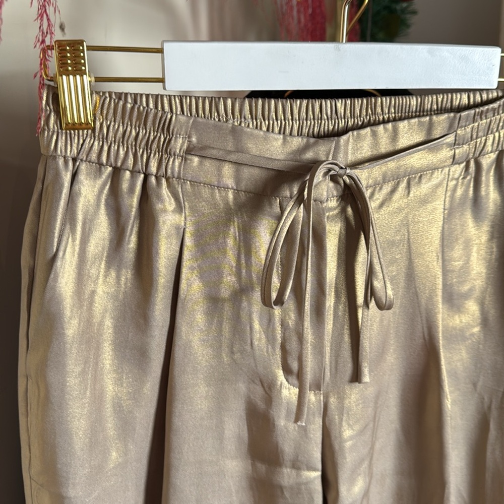 Ipekyol Gold Shiny Pants ✨